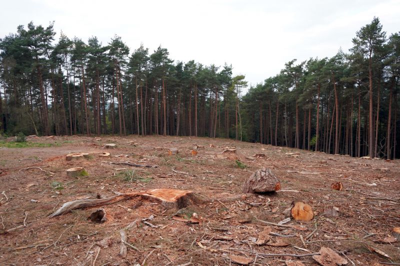 Increase Your Handyman Service Business with an AI Driven, Targeted Website