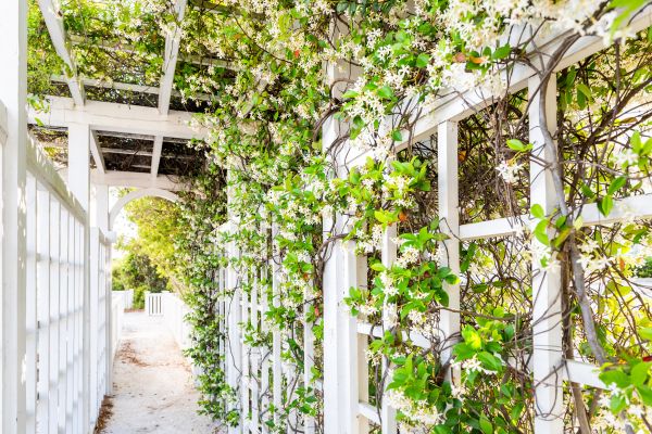 Cost of Trellis Repair in Logan