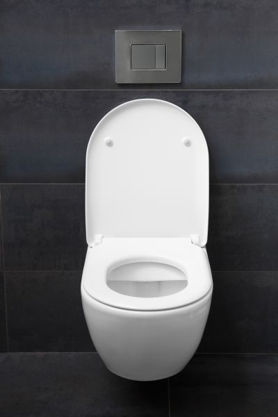 Cost of Toilet Lid Installation in Logan