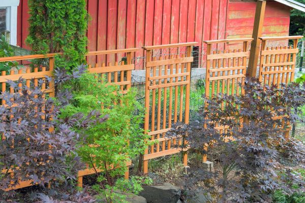Wood Trellis Mounting in Logan