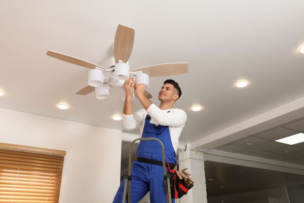 Ceiling Fan Bulb Replacement in Logan
